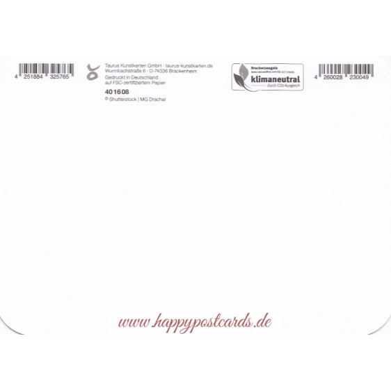 Du bist das größte Geschenk für mich - Poppies Postkarte