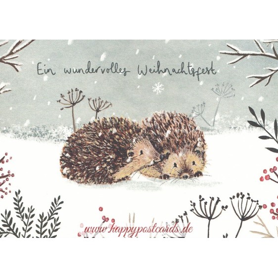 Ein wundervolles Weihnachtsfest - Hedgehog - Christmas Postcard