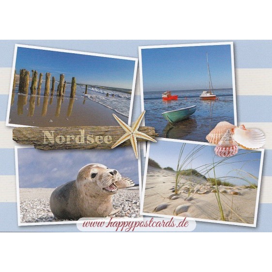 North Sea - Multi - Starfish - Viewcard