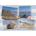 North Sea - Multi - Starfish - Viewcard