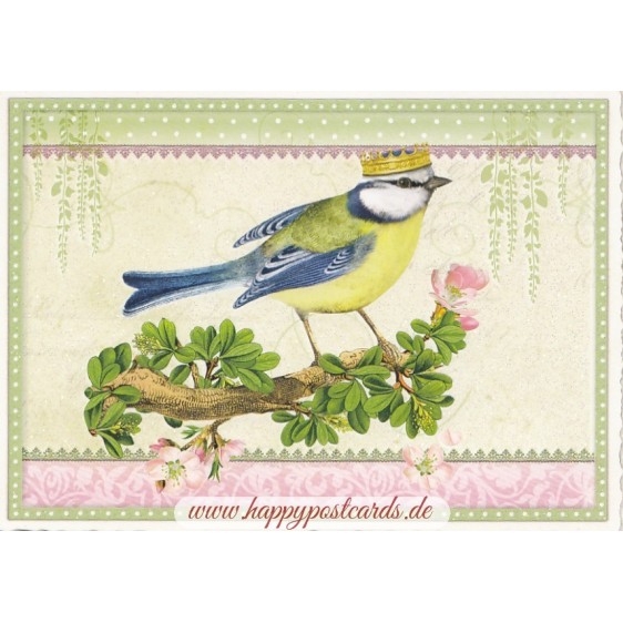 Tit - Tausendschön - Postcard