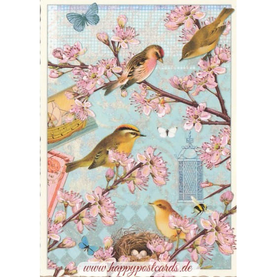 Birds 2 - Tausendschoen - Postcard