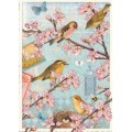 Vögel 2 - Tausendschön - Postkarte