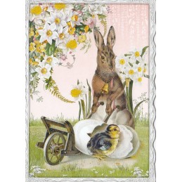 Hase und Küken No.51 - Auguri - Barbara Behr - Postkarte