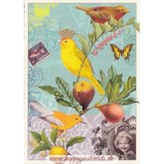 Birds 3 - Tausendschoen - Postcard