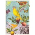 Birds 3 - Tausendschoen - Postcard