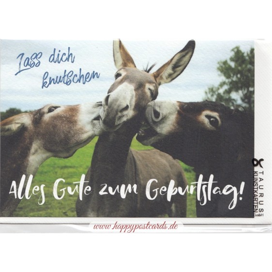 Zum Geburtstag - Lass dich knutschen - Birthday greeting card