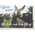 Zum Geburtstag - Lass dich knutschen - Birthday greeting card