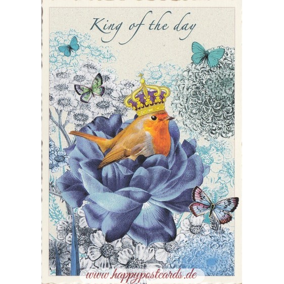 Kin of the day - Tausendschoen - Postcard
