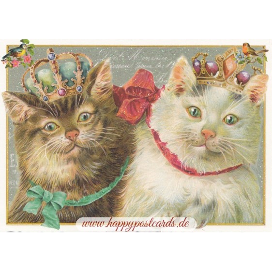 Cats - Tausendschön - Postcard