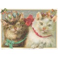 Cats - Tausendschön - Postcard