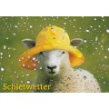 Schaf - Schietwetter - Ansichtskarte