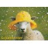 Sheep - Schietwetter - Viewcard