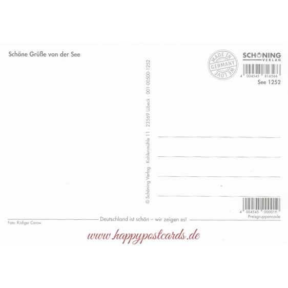 Schaf - Schietwetter - Ansichtskarte