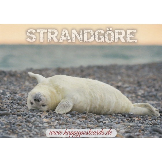 Seal - Strandgöre - Viewcard
