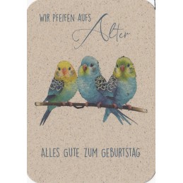 Wir pfeifen aus Alter/Alles Gute zum Geburtstag - Grass Postcard