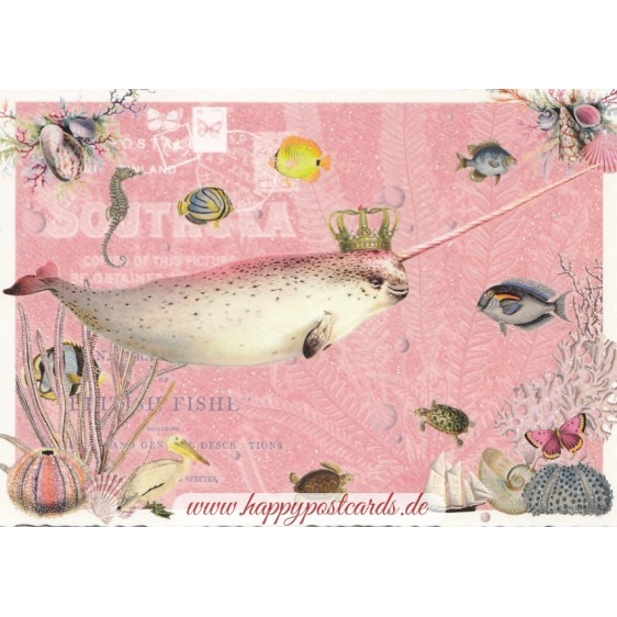 Narwhal - Tausendschön - Postcard