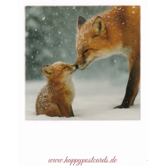 Füchse im Schnee - Weihnachtskarte - PolaCard