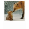 Foxes in Snow - Christmas PolaCard