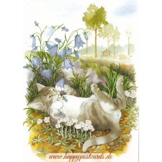 114 - Katze spielt mit Gartenblumen - Löök Postkarte