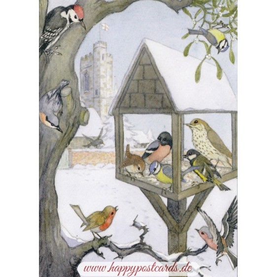 Vögel am winterlichen Futterhaus - Weihnachtskarte