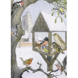 Birds at Bird feeder - Christmas - Postcard