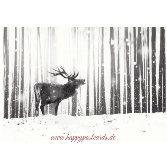 Deer in Snow - Christmas Postcard