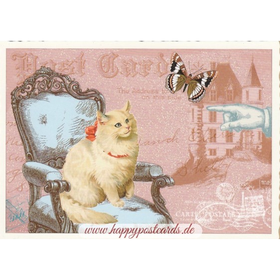 Cat on chair - Tausendschön - Postcard