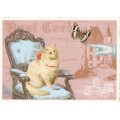 Cat on chair - Tausendschön - Postcard