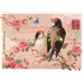 Goldfinch - Tausendschön - Postcard