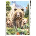 Bären - Tausendschön - Postkarte