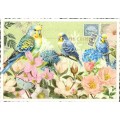 Weißer Frühling - Tausendschön - Postkarte