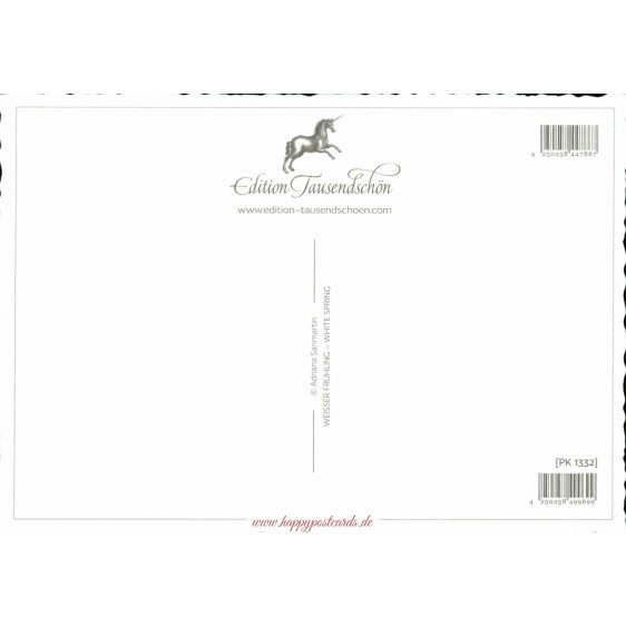 Weißer Frühling - Tausendschön - Postkarte