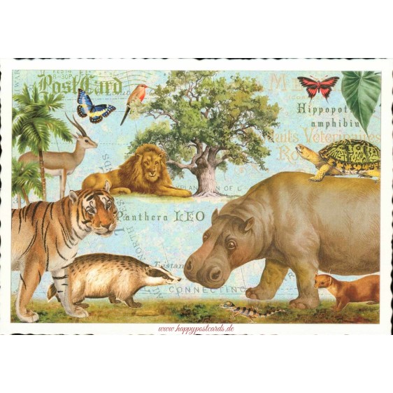 Nilpferd und Freunde - Tausendschön - Postkarte