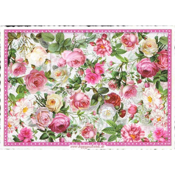 Rosen - Tausendschön - Postkarte