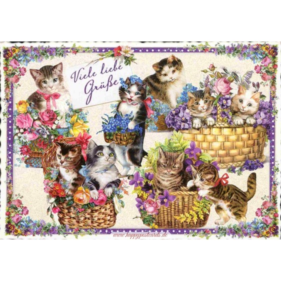 Viele liebe Grüße - Cats - Tausendschön - Postcard