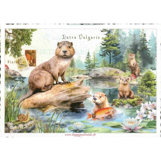 Fischotter - Tausendschön - Postkarte