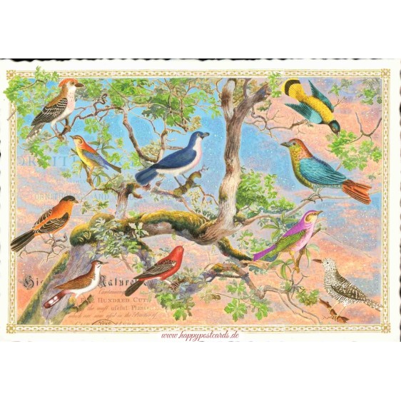 PK1326 Tree of birds - Tausendschoen - Postcard