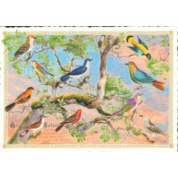 PK1326 Vogelbaum - Tausendschön - Postkarte