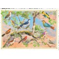 PK1326 Vogelbaum - Tausendschön - Postkarte