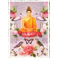 PK771 Buddha - Tausendschön - Postkarte