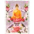 PK771 Buddha - Tausendschön - Postkarte