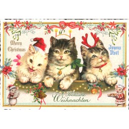 PK1354 Fröhliche Weihnachten - Katzen - Tausendschön - Weihnachtskarte