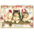 PK1354 Happy Christmas - Cats - Tausendschön - Postcard