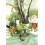 37 - Old Ladies and Mailboxes - Postcard