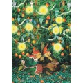 45 - Frauen unterm Tannenbaum - Postkarte