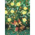 45 - Frauen unterm Tannenbaum - Postkarte