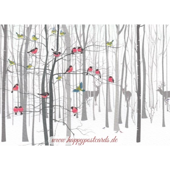 Winter Wood - Postcard