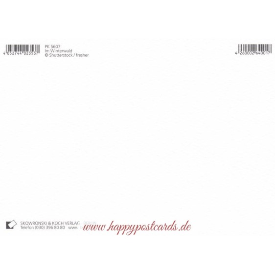 Im Winterwald - Postkarte