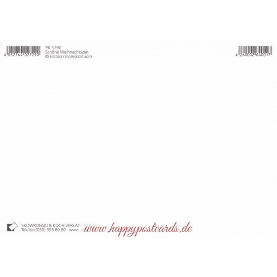 Schöne Weihnachtszeit: Vögelchen - Postkarte
